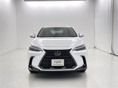 2024 Lexus NX — миниатюра 16