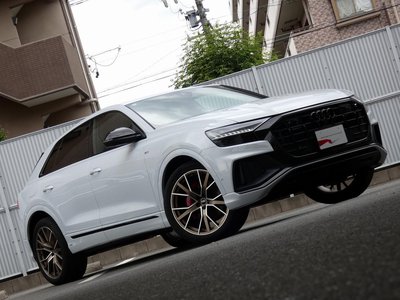2024 AUDI Q8 缩略图 18