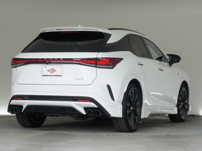 صورة 8 لـ 2023 Lexus RX