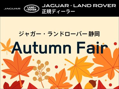 LAND ROVER RANGE ROVER SPORT - 9