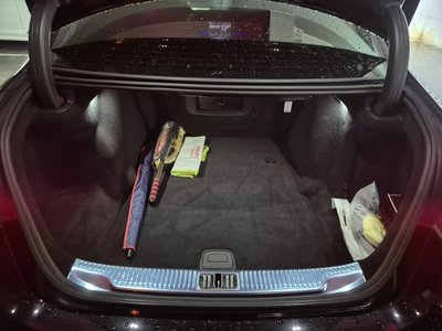 2025 Mercedes-BENZ S-CLASS 照片 2