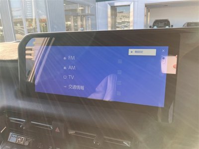 2024 Toyota LAND CRUISER 250 缩略图 20