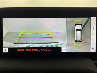2024 Toyota LAND CRUISER 250 照片 5