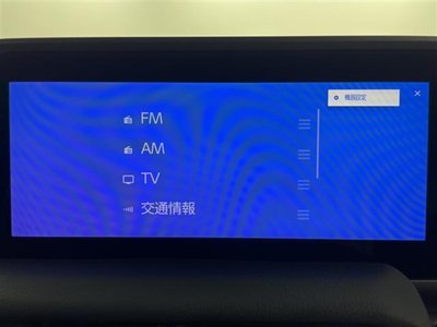 2024 Toyota LAND CRUISER 250 照片 6