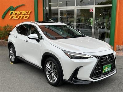 LEXUS NX - 1