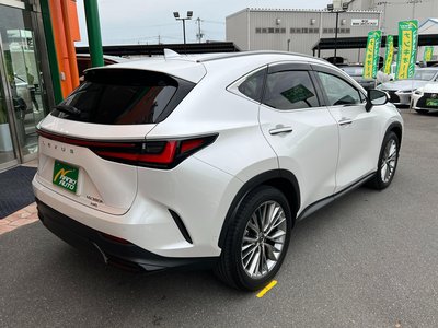 LEXUS NX - 10