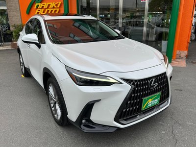 LEXUS NX - 6