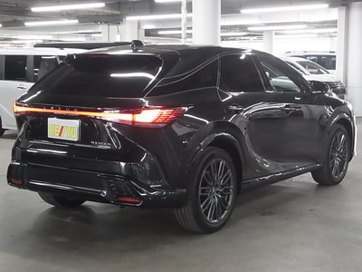 LEXUS RX - 6