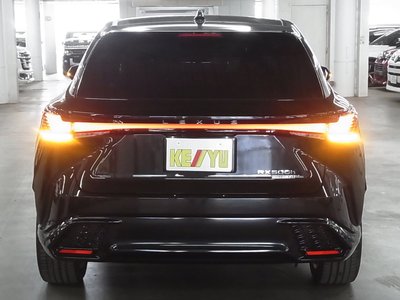 LEXUS RX - 10