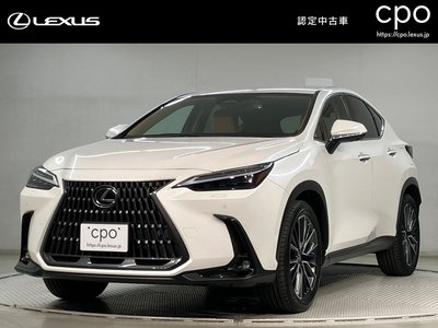 LEXUS NX - 1