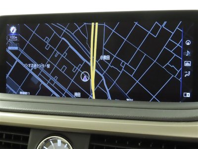 2019 Lexus RX 照片 5