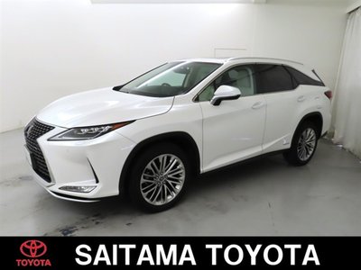 2019 Lexus RX photo 1