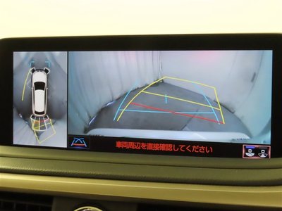 2019 Lexus RX 照片 6