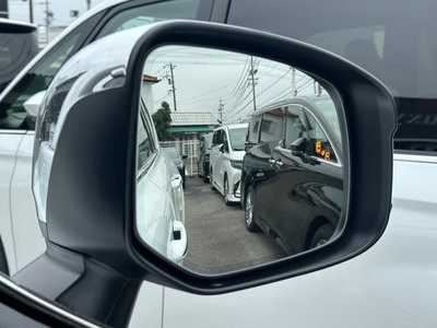 2025 Toyota LAND CRUISER 300 — миниатюра 40