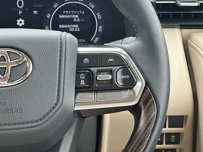 2025 Toyota LAND CRUISER 300 — миниатюра 44