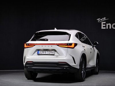 LEXUS NX - 4