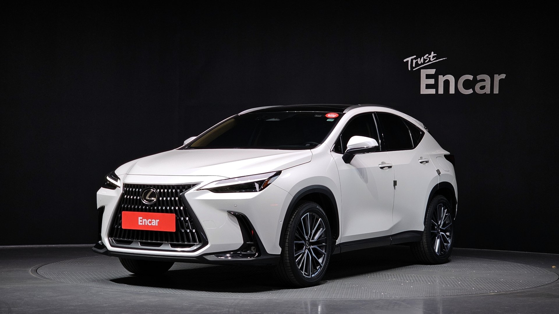 LEXUS NX - View 1