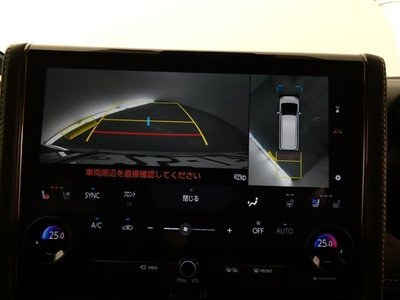 2024 Toyota ALPHARD 照片 9