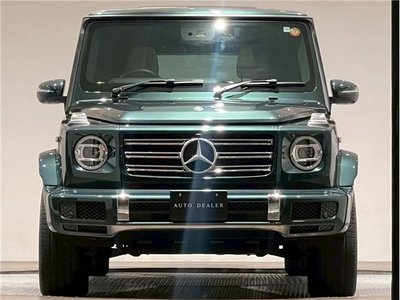 MERCEDES-BENZ G-CLASS - 8