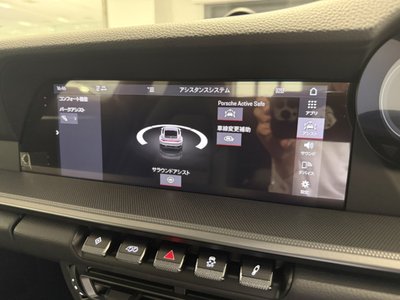 2020 Porsche 911 thumbnail 16