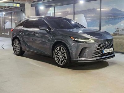 2024 Lexus RX 照片 1