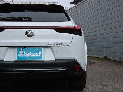 2023 Lexus UX 缩略图 34