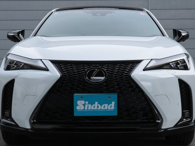 2023 Lexus UX 缩略图 25