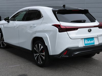 2023 Lexus UX 缩略图 31