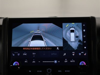 2024 Toyota ALPHARD thumbnail 11