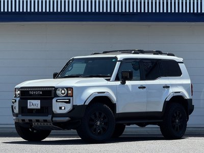 TOYOTA LAND CRUISER 250 - 6