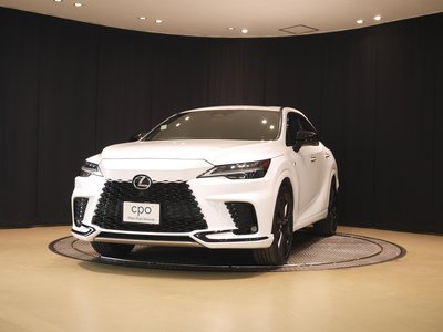 LEXUS RX - 1