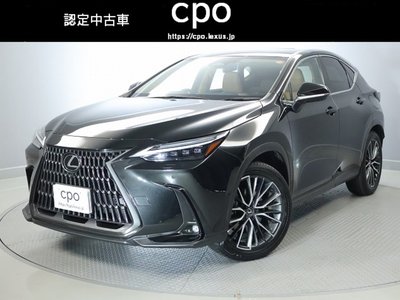 LEXUS NX - 1