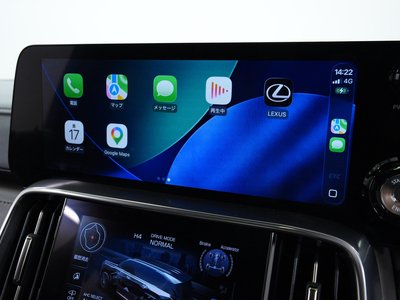 2024 Lexus LX — миниатюра 14