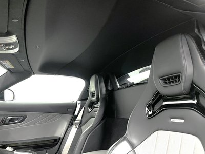 2017 Mercedes-BENZ GT AMG 缩略图 256
