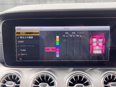 2019 Mercedes-BENZ CLS thumbnail 44