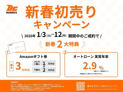 LAND ROVER DEFENDER - 2