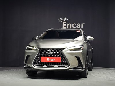2025 Lexus NX — фото 2
