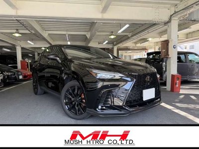 LEXUS NX - 2