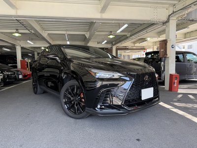 LEXUS NX - 1