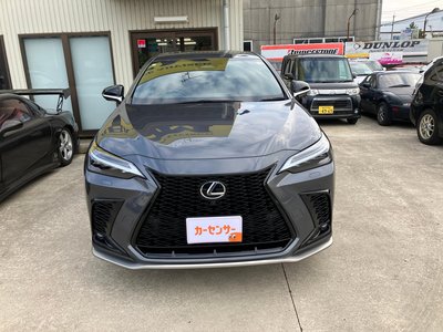 LEXUS NX - 3