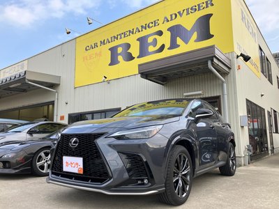 LEXUS NX - 1