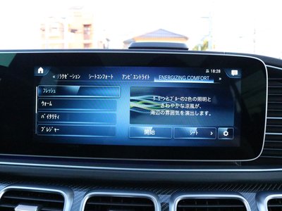 2021 Mercedes-BENZ GLS AMG 缩略图 14