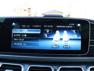 2021 Mercedes-BENZ GLS AMG 缩略图 16