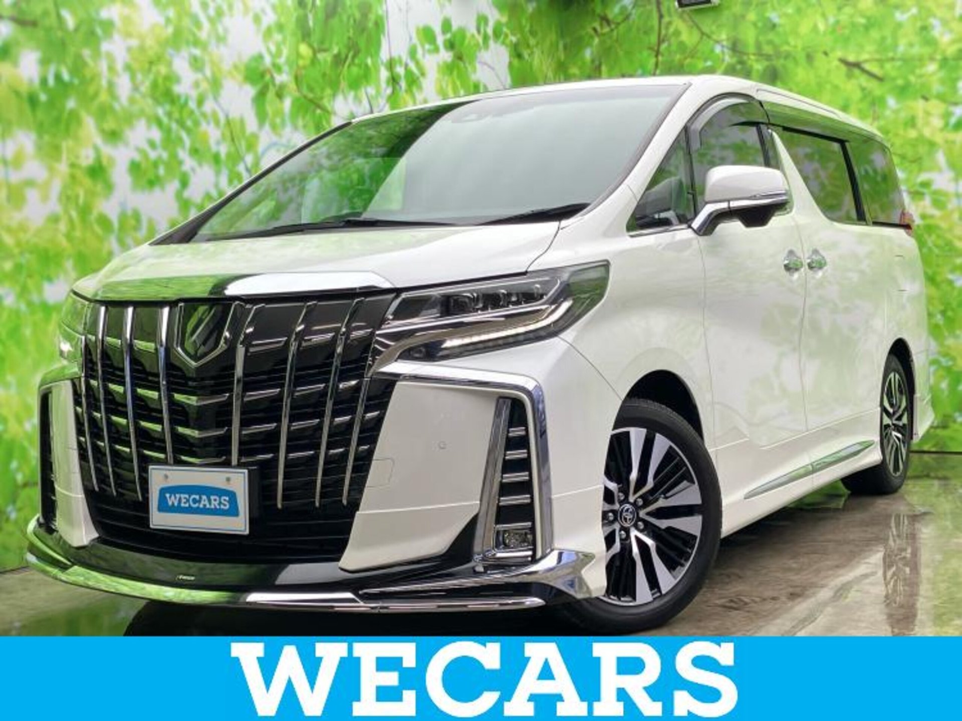 TOYOTA ALPHARD - View 1