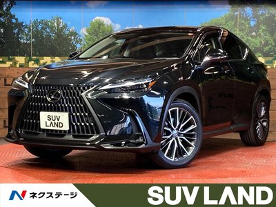 LEXUS NX - 1