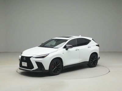 LEXUS NX - 6