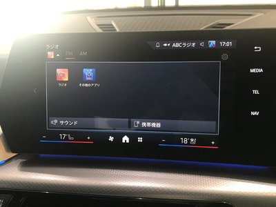 2025 BMW X2 缩略图 37