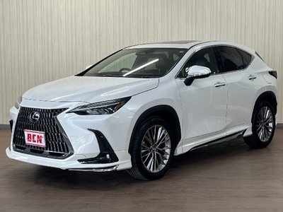 LEXUS NX - 1