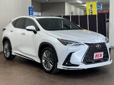 LEXUS NX - 2