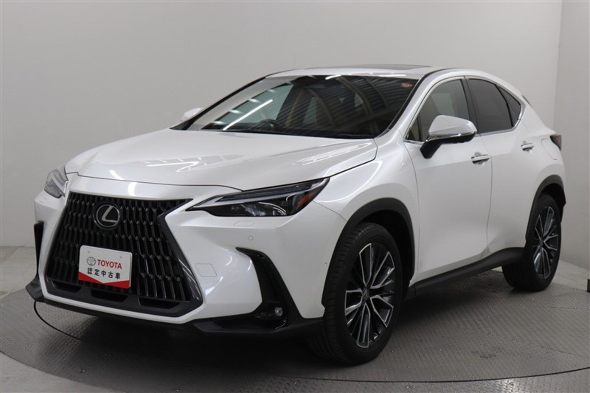 LEXUS NX - View 1